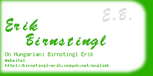 erik birnstingl business card